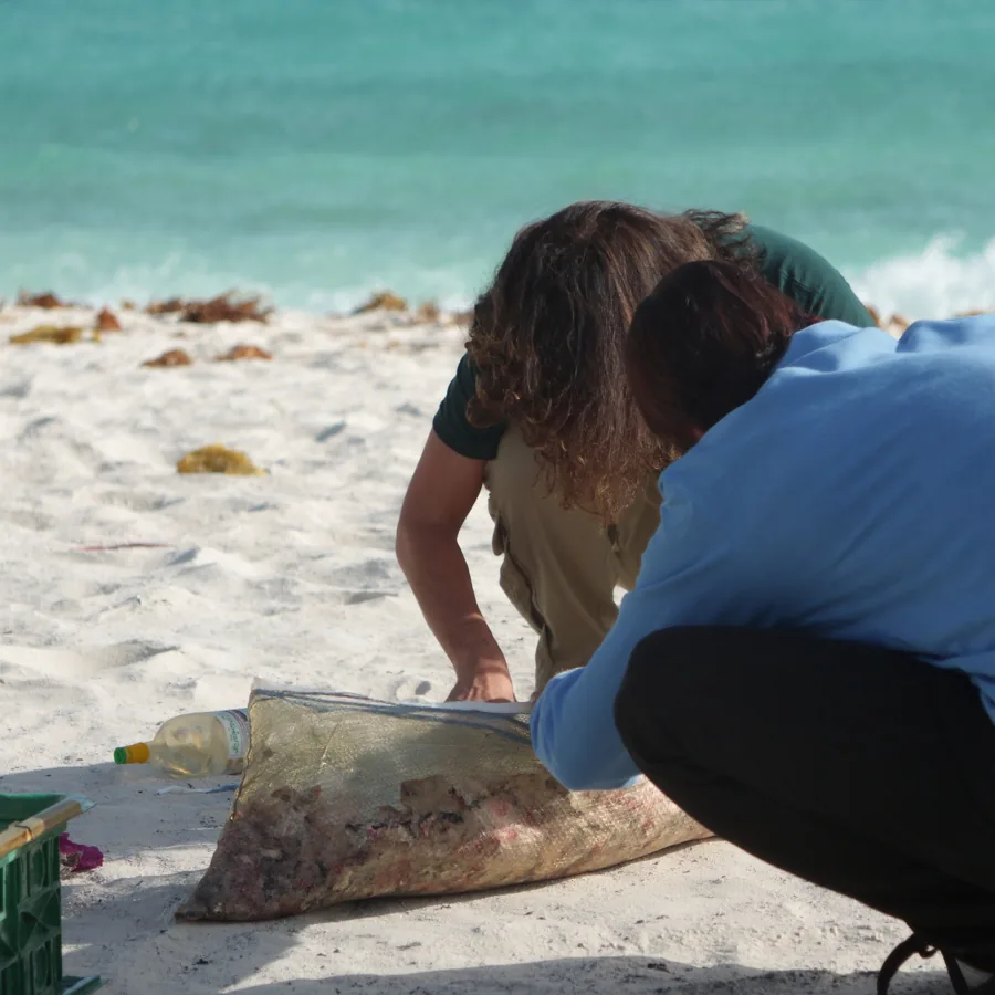 Voluntarios limpiando la playa