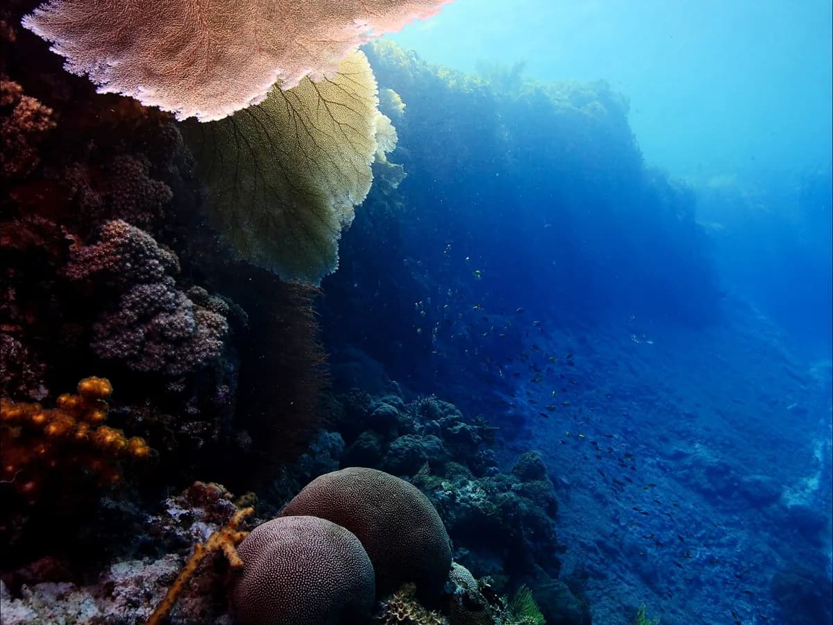 Cozumel