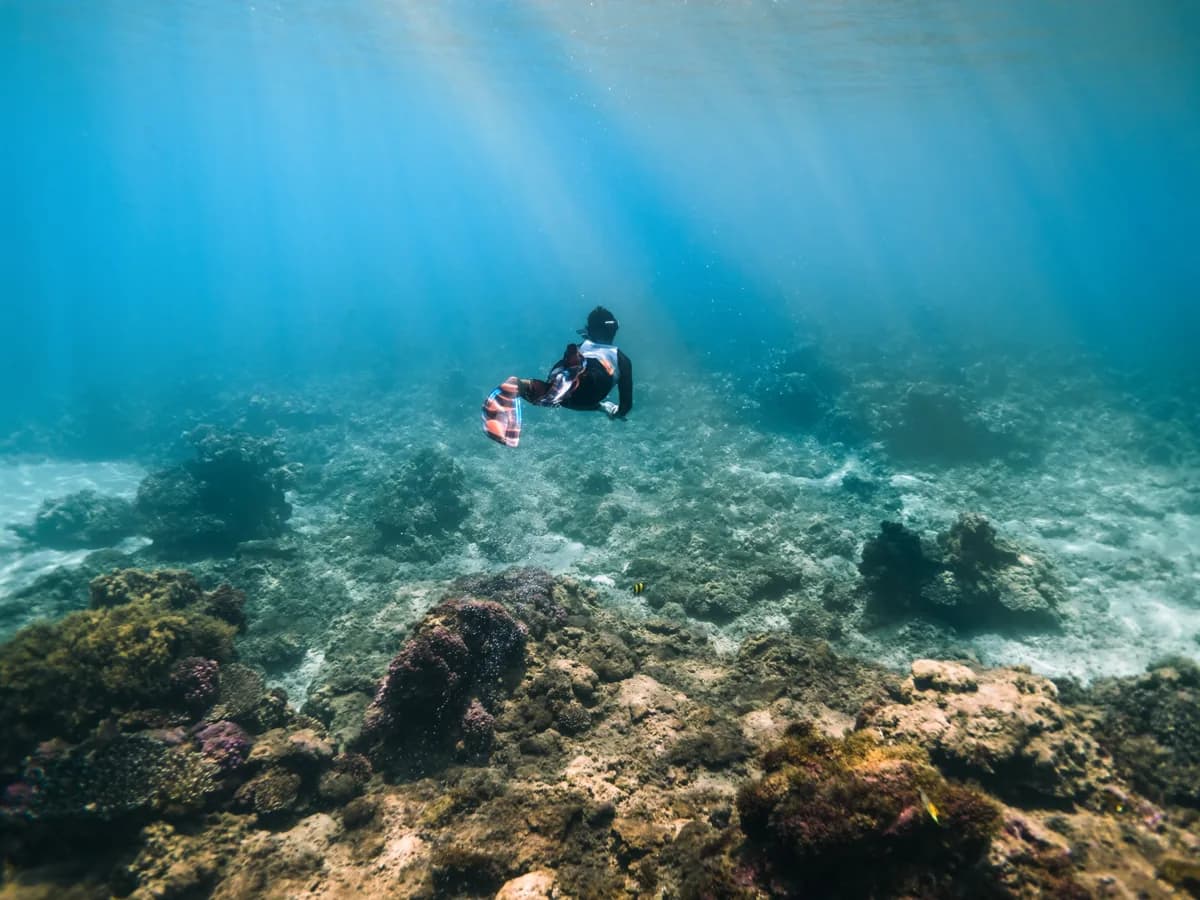 De la pasión por el mar a la acción