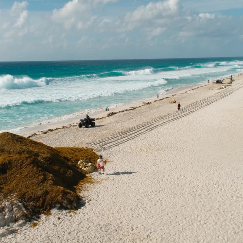 ¡Otro día increíble limpiando Playa Delfines! 🌊