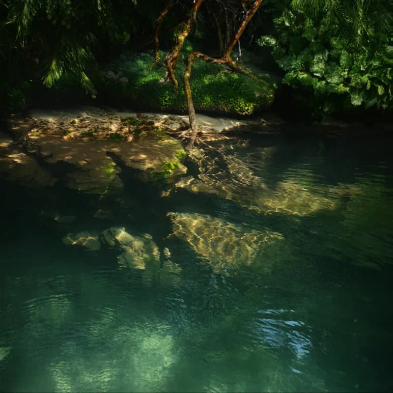 Los cenotes son vida. Protégelos. 💧