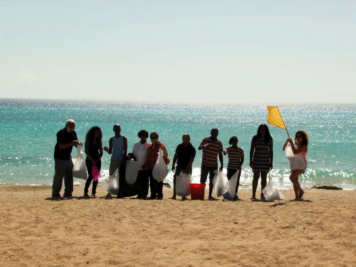 Voluntarios
